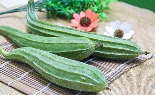 怎么可以吃兔兔