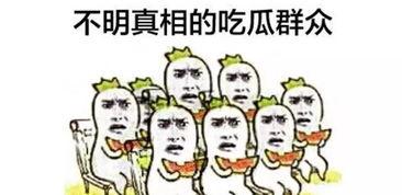 黑料吃瓜网apk普通安装